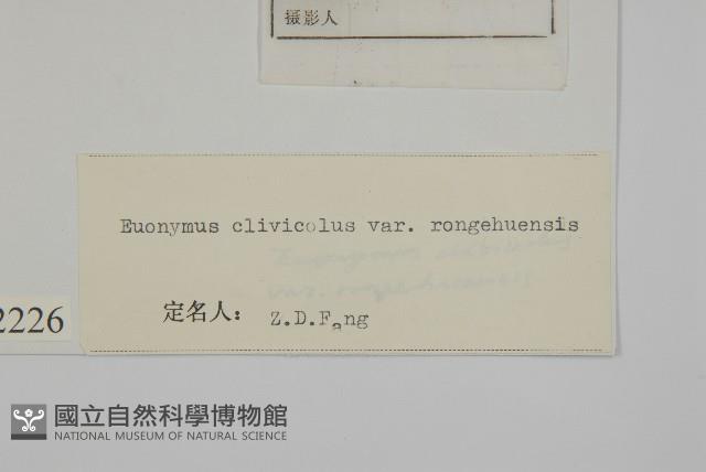 絨楚丘生衛矛藏品圖，第3張