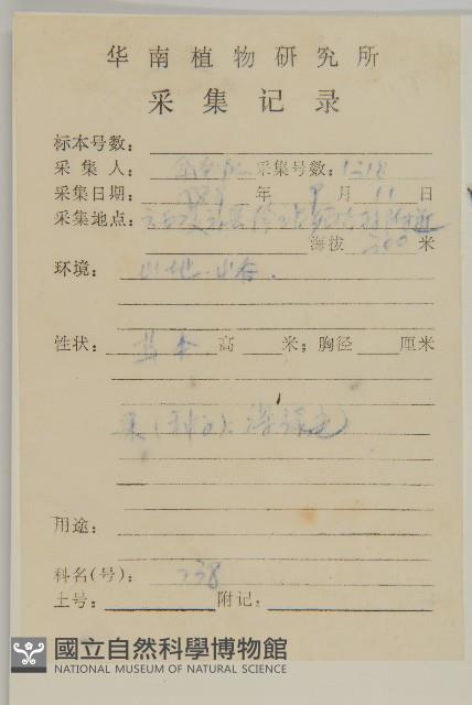 鱧腸藏品圖，第2張