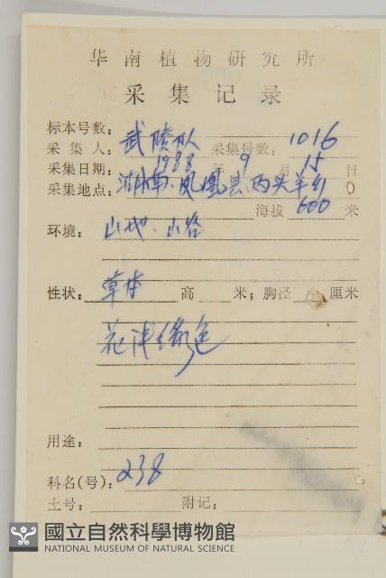 牡蒿藏品圖，第2張