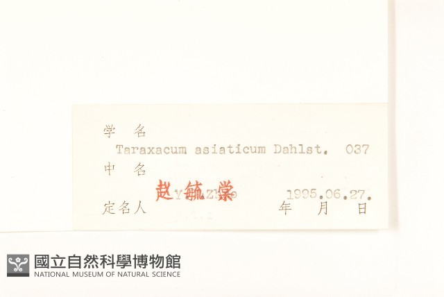 唐松草藏品圖，第4張