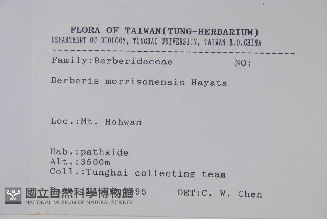 玉山小蘗藏品圖，第2張