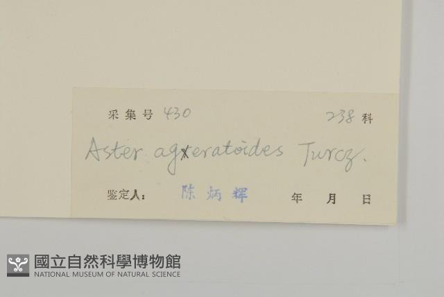 山白蘭藏品圖，第3張