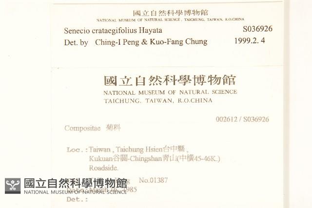 小蔓黃苑藏品圖，第2張