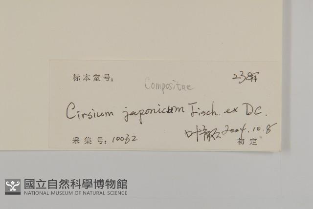 小薊藏品圖，第3張