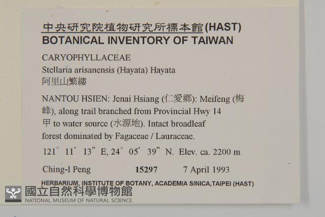 阿里山繁縷藏品圖，第2張