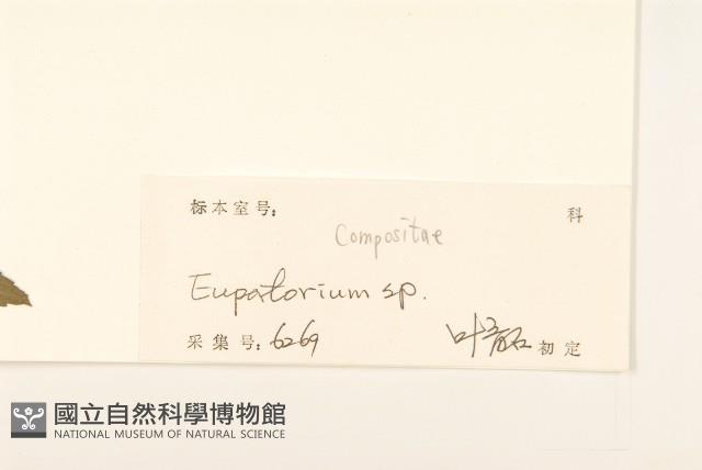 登錄號:S102706藏品圖，第3張