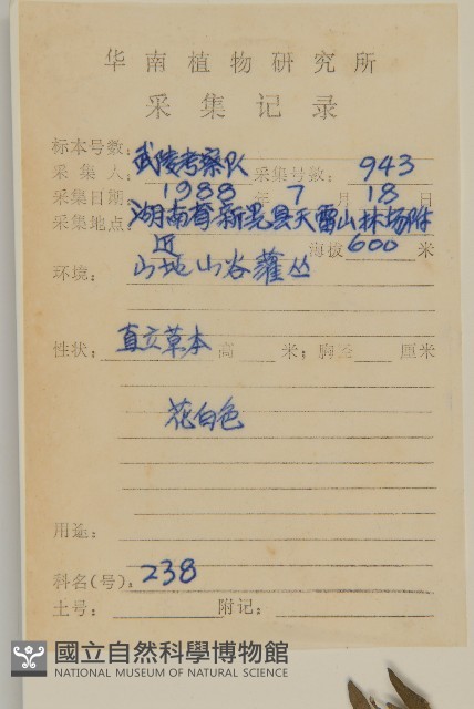 鱧腸藏品圖，第2張