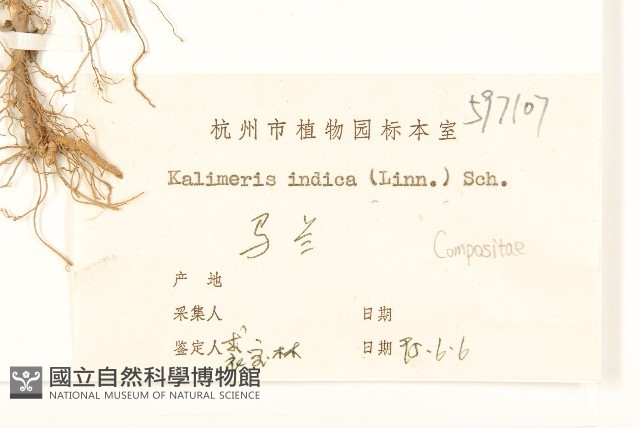 雞兒腸藏品圖，第3張