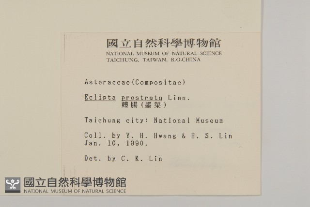 鱧腸藏品圖，第2張
