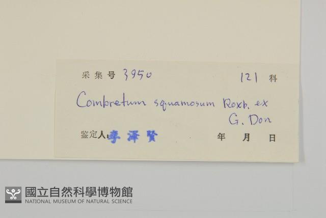 登錄號:S033306藏品圖，第3張