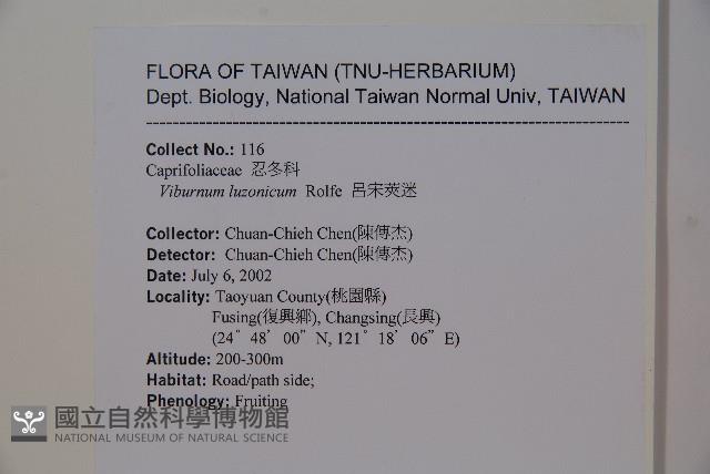 呂宋莢迷藏品圖，第2張