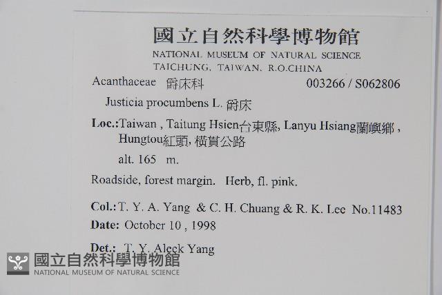 爵床藏品圖，第2張