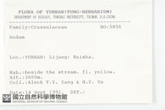 登錄號:S025806藏品圖，第3張