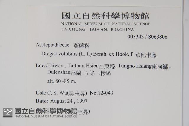 華他卡藤藏品圖，第2張