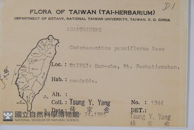 針刺草藏品圖，第2張