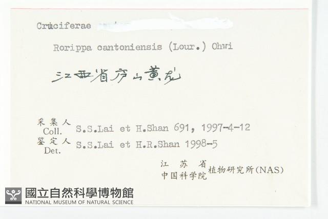 廣東葶藶藏品圖，第3張