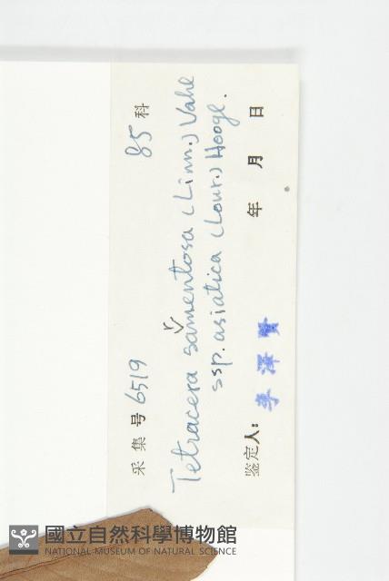 登錄號:S033016藏品圖，第3張