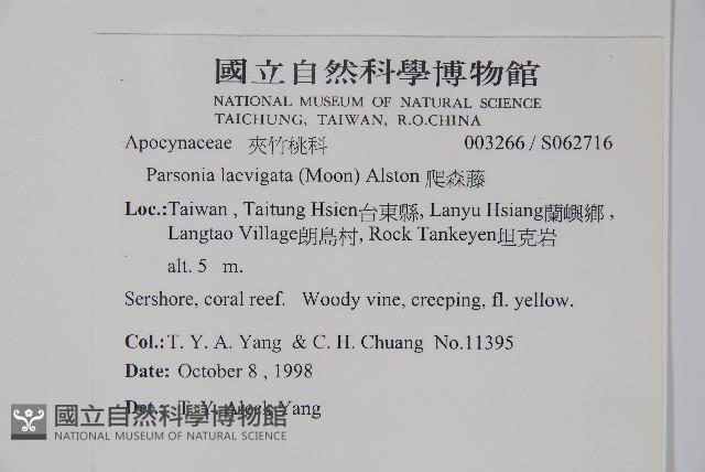 爬森藤藏品圖，第2張