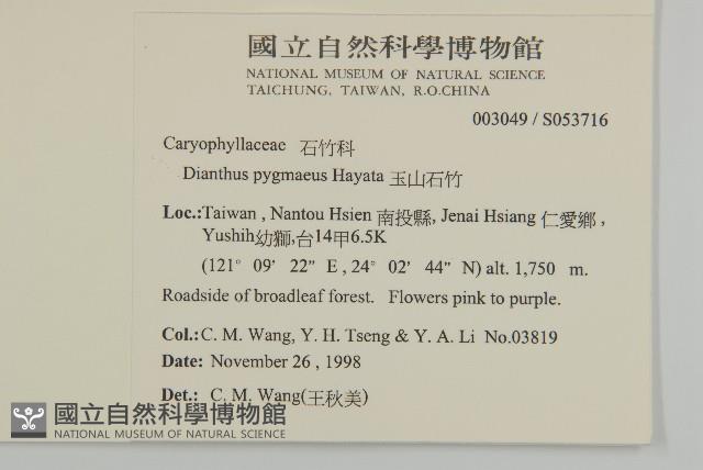 玉山石竹藏品圖，第2張