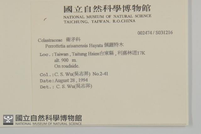 佩羅特木藏品圖，第2張