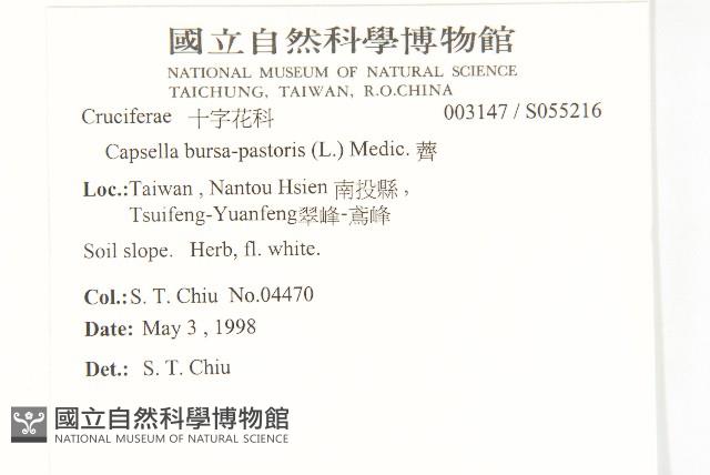 薺藏品圖，第2張