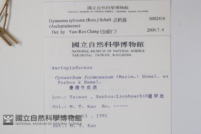 武靴藤藏品圖，第2張