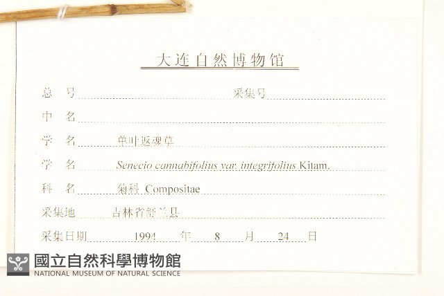 登錄號:S107416藏品圖，第3張