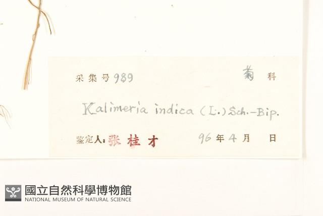 雞兒腸藏品圖，第3張