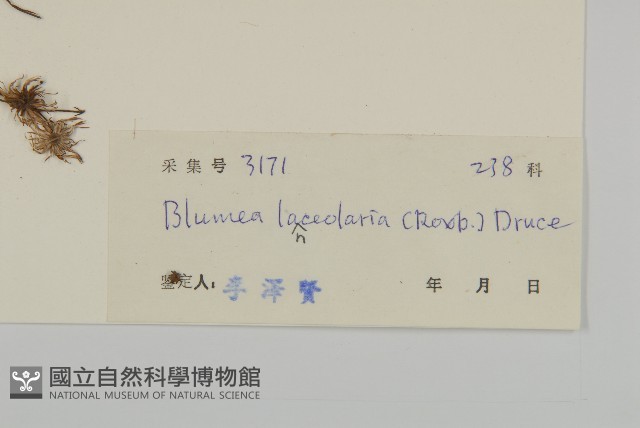 走馬胎藏品圖，第3張