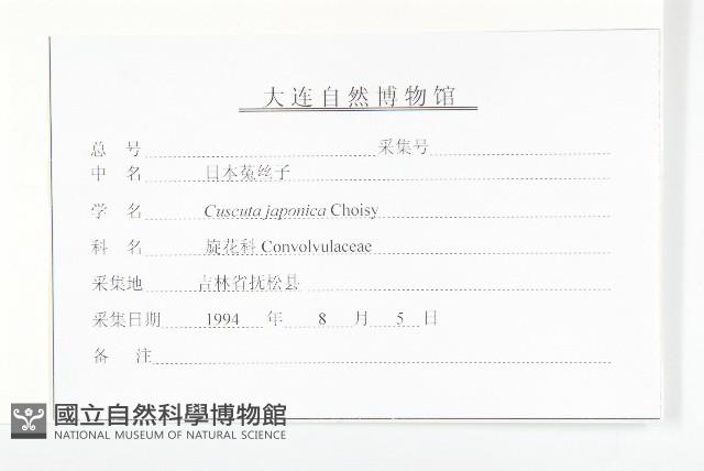 日本菟絲子藏品圖，第3張