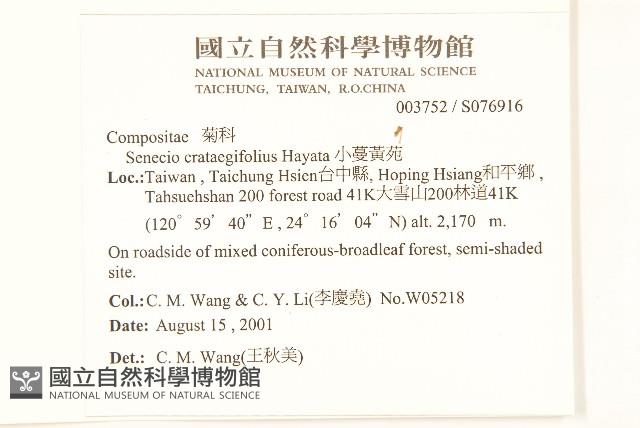 小蔓黃苑藏品圖，第2張