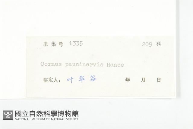 小棶木藏品圖，第3張