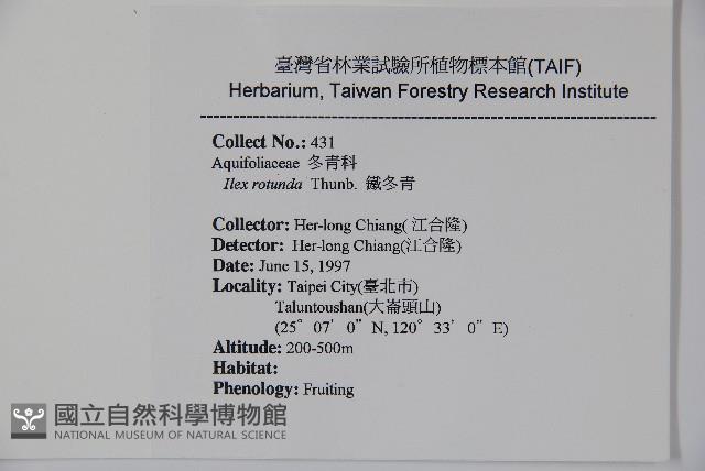 鐵冬青藏品圖，第2張