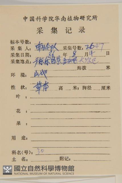 草珊瑚、紅果金粟蘭藏品圖，第2張