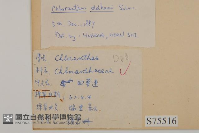 臺灣及己藏品圖，第2張