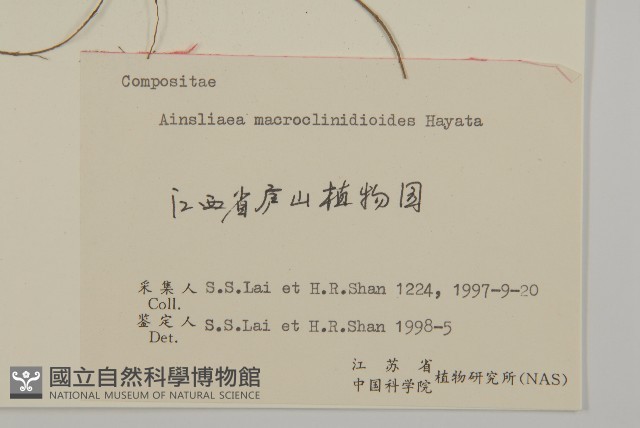 阿里山鬼督郵藏品圖，第3張