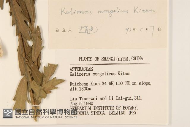 蒙古馬蘭藏品圖，第3張