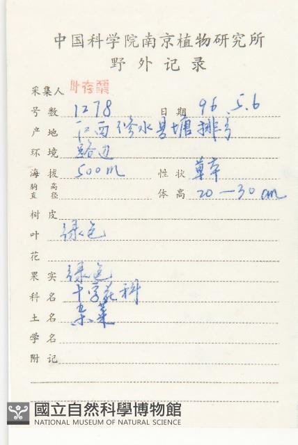 薺藏品圖，第2張