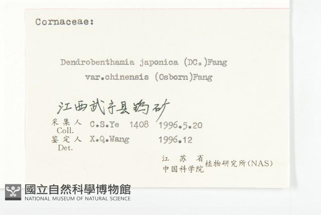 四照花藏品圖，第3張