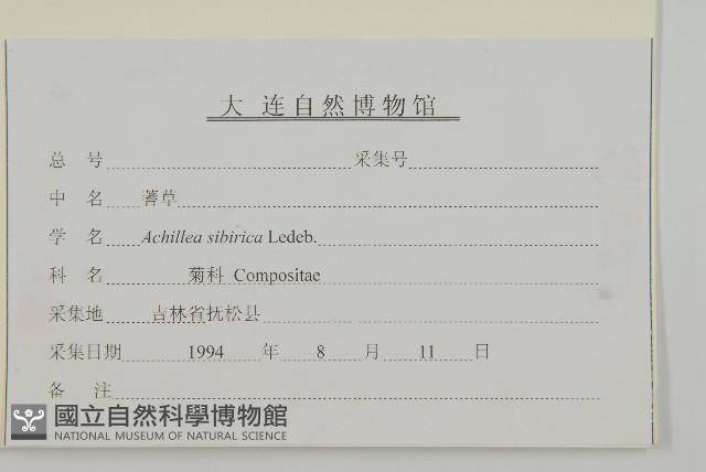 西伯利亞蓍藏品圖，第3張