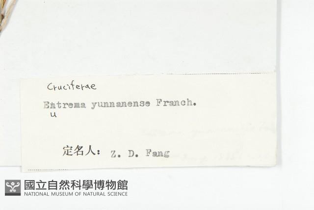 山俞菜藏品圖，第3張