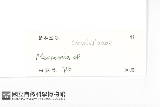 登錄號:S127096藏品圖，第3張