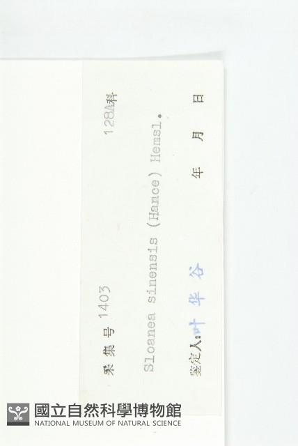 猴歡喜藏品圖，第3張