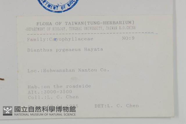 玉山石竹藏品圖，第2張