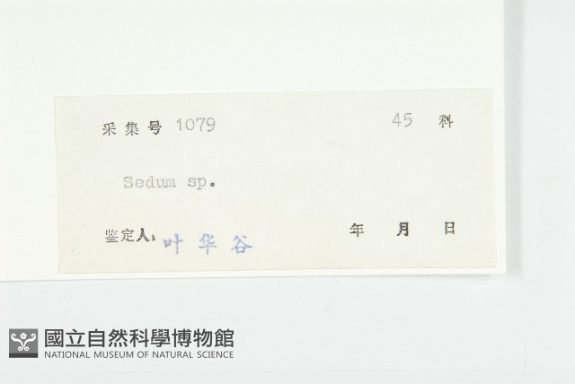 登錄號:S043796藏品圖，第3張