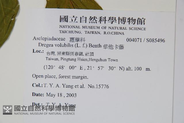 華他卡藤藏品圖，第2張