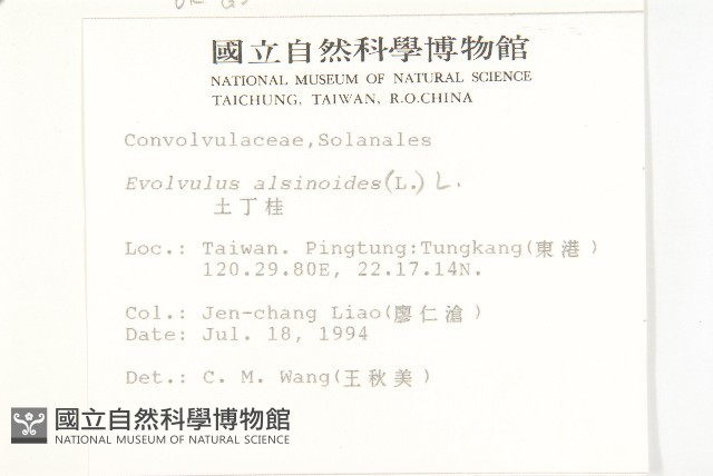 土丁桂藏品圖，第5張