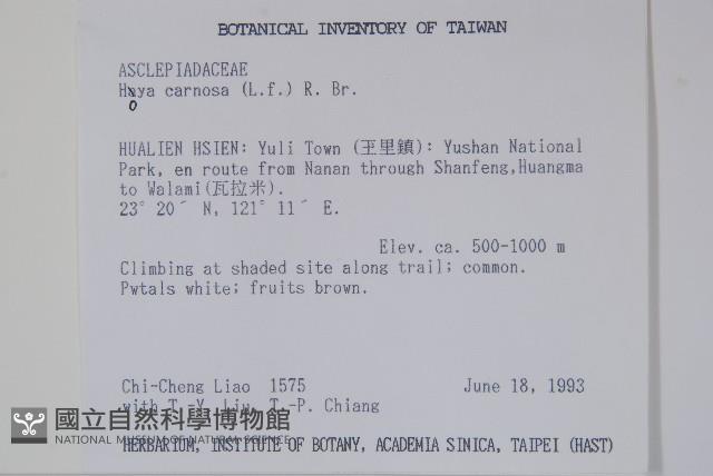 毬蘭藏品圖，第2張