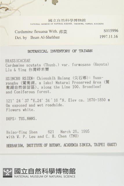 焊菜藏品圖，第2張