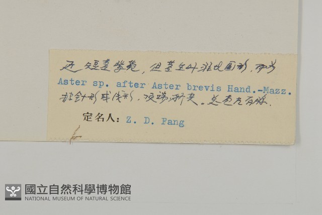 登錄號:S022596藏品圖，第3張